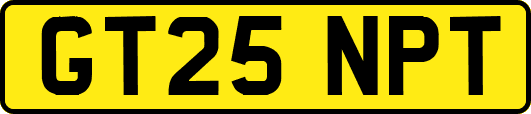 GT25NPT
