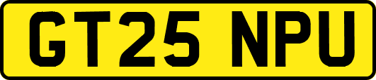 GT25NPU