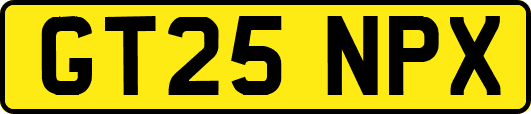 GT25NPX