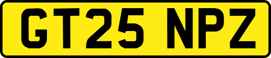 GT25NPZ