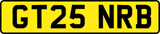 GT25NRB