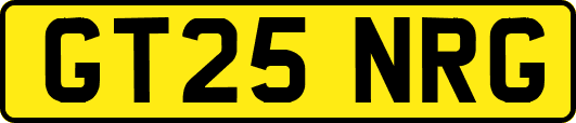 GT25NRG