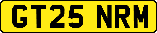 GT25NRM