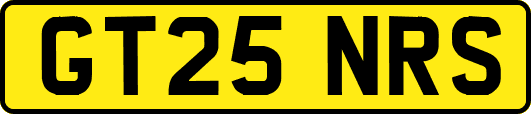 GT25NRS