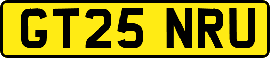 GT25NRU