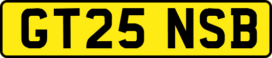GT25NSB