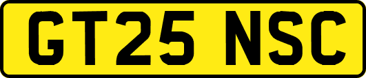GT25NSC