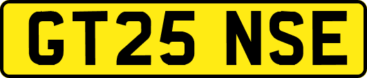 GT25NSE