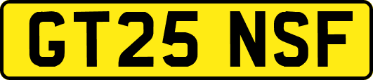 GT25NSF