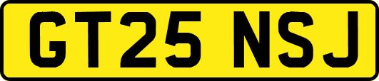 GT25NSJ