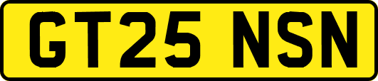 GT25NSN