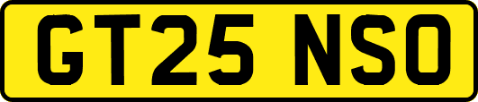 GT25NSO