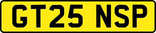 GT25NSP
