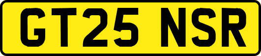 GT25NSR