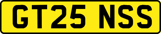 GT25NSS