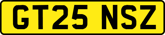 GT25NSZ