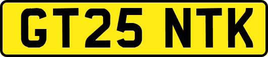 GT25NTK