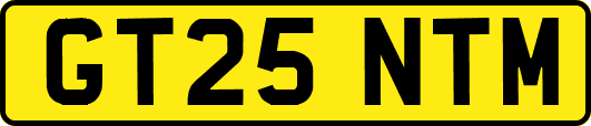 GT25NTM