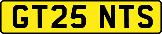 GT25NTS