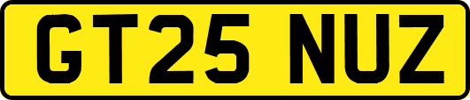 GT25NUZ