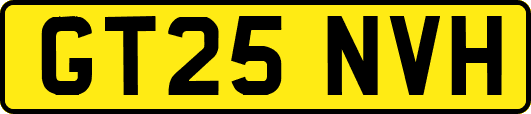 GT25NVH