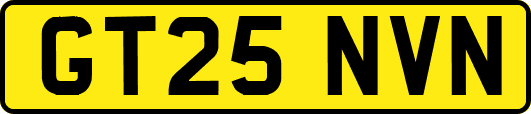 GT25NVN