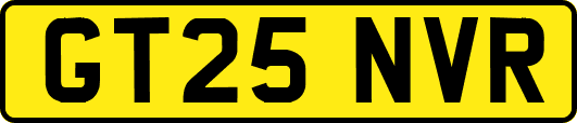 GT25NVR