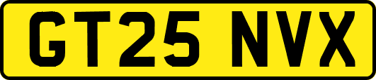 GT25NVX