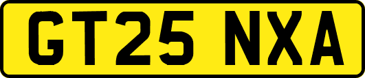 GT25NXA