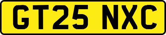 GT25NXC