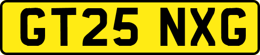 GT25NXG