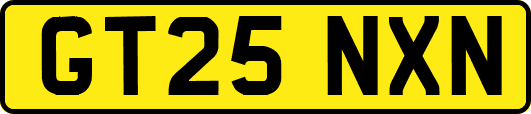 GT25NXN