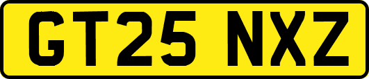GT25NXZ