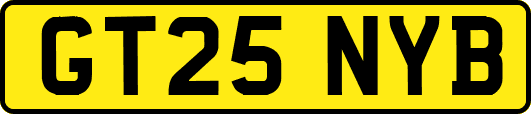 GT25NYB
