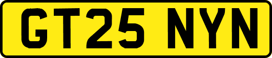GT25NYN