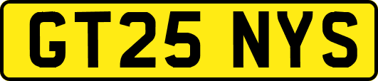 GT25NYS