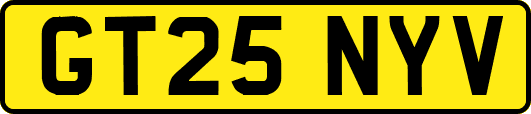 GT25NYV