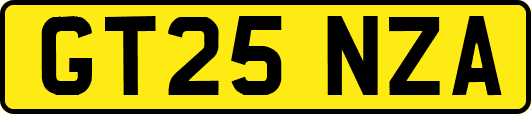 GT25NZA