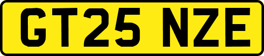 GT25NZE