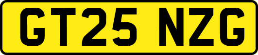 GT25NZG
