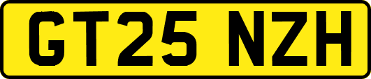 GT25NZH