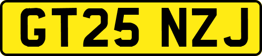GT25NZJ