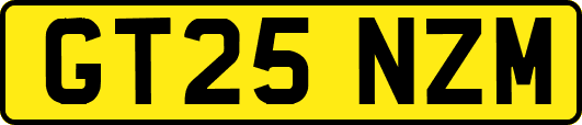 GT25NZM