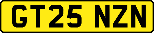 GT25NZN