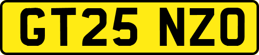 GT25NZO