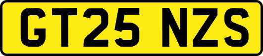 GT25NZS
