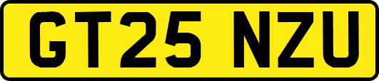 GT25NZU