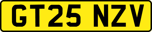 GT25NZV