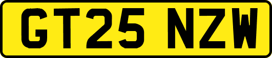 GT25NZW