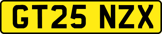 GT25NZX